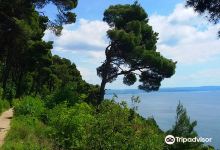 Sentiero Tiziana Weiss (o Sentiero Della Salvia)景点图片