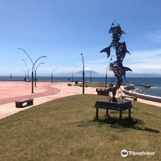 Playa Los Cisnes-兰奎休