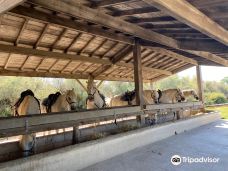 Domaine de la Palissade-阿尔勒