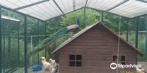 Giresun Belediyesi Hayvanat Bahcesi