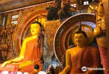 Isipathanaramaya Buddhist Temple景点图片