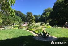 Botaniska Tradgarden景点图片