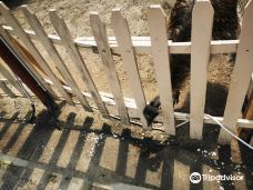 Kimba Elefánt Park-哲里区