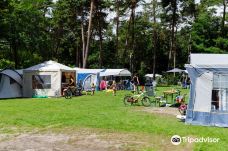 RCN Vakantiepark het Grote Bos - Camping en bungalowpark-多伦