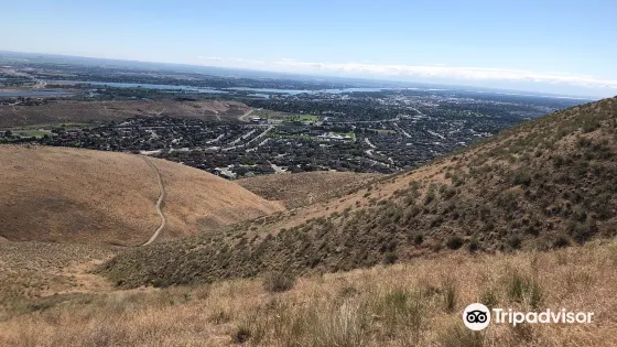Badger Mountain Centennial Preserve
