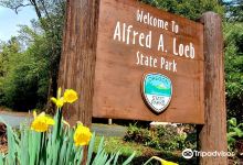 Alfred A. Loeb State Park景点图片