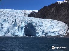 Holgate Glacier-西沃德