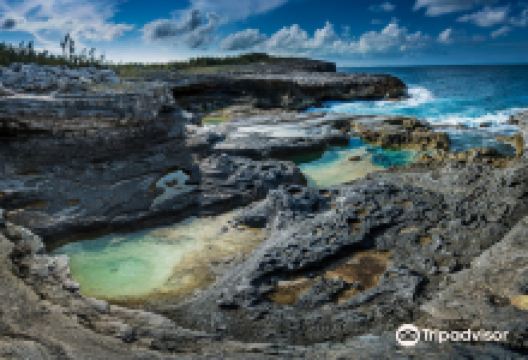 Queens Bath景点图片