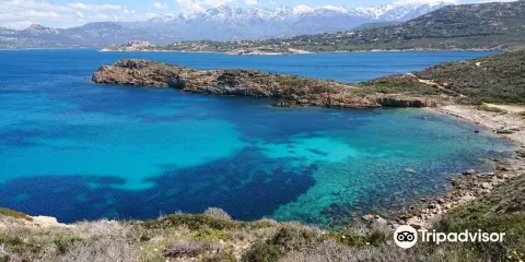 Pointe De La Revellata