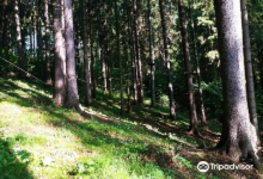 Tarzania - Zipline Hrabovo景点图片