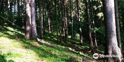 Tarzania - Zipline Hrabovo