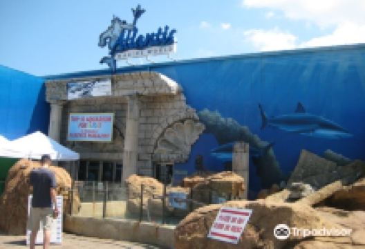 长岛水族馆景点图片