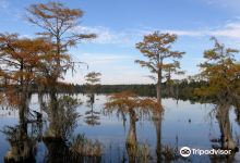 Singletary Lake State Park景点图片