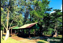 Reserva Florestal de Recreio de Valverde景点图片