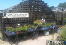 Ager Farm Nursery购物图片
