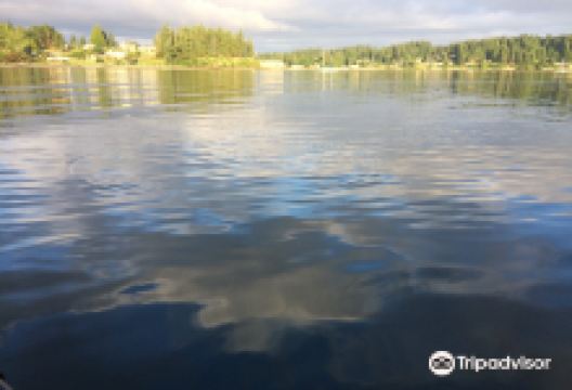 Freeland Park景点图片