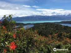 Lago Del Toro-博尔