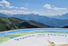 Lac de Joux Plane景点图片
