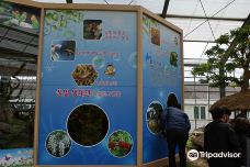 Hampyeong Expo Park - Natural Ecological Museum-咸平郡