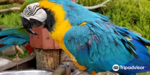 長崎鼻休息站動物花園