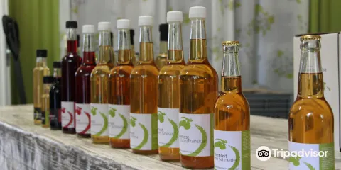 Ulvik Frukt & Cideri