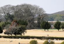 Fukuoka Castle Ruins Hill景点图片