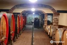 Tenuta La Torretta景点图片