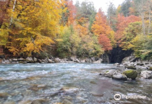 Gorges des Tines景点图片