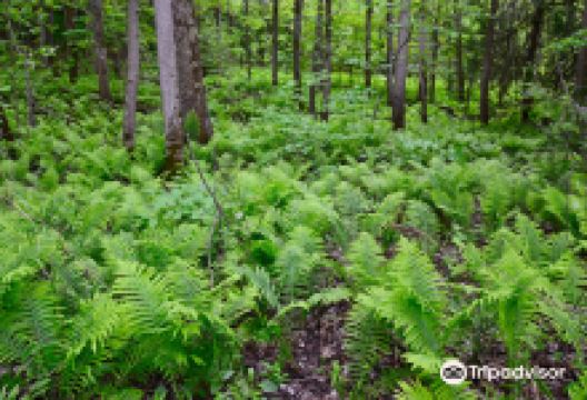 Edenvale Conservation Area景点图片