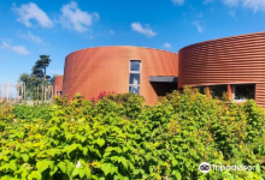 Suzy Atkins - Galerie du Don景点图片