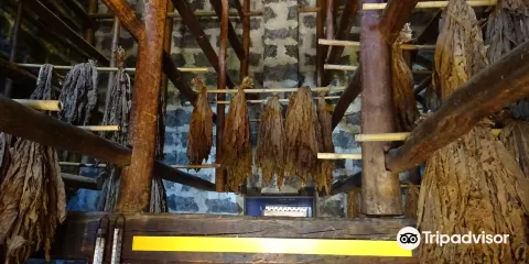 Tabaco da Maia Museum