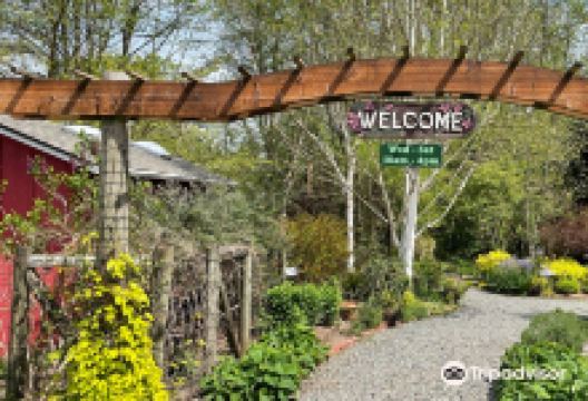 Soos Creek Botanical Garden & Heritage Center景点图片