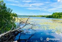 Muir of Dinnet National Nature Reserve景点图片