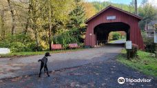 Drift Creek Covered Bridge-林肯县