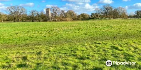 Caistor Roman Town （Venta Icenorum）