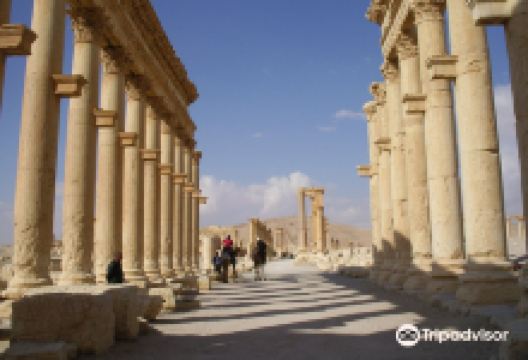 巴尔米拉古城遗址景点图片