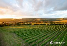 Nazaaray Estate Winery景点图片