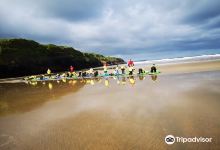 Surfworld Bundoran购物图片