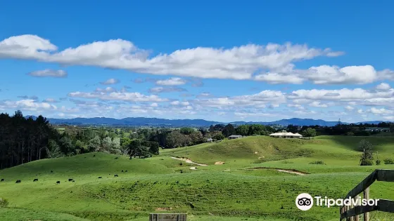 Taitua Arboretum