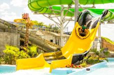 Wet 'N' Wild Waterworld-安东尼