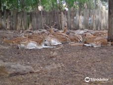 Zoo de la Ciudad de Salto-萨尔托