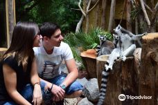 Park Las Aquilas Jungle Park-阿罗纳