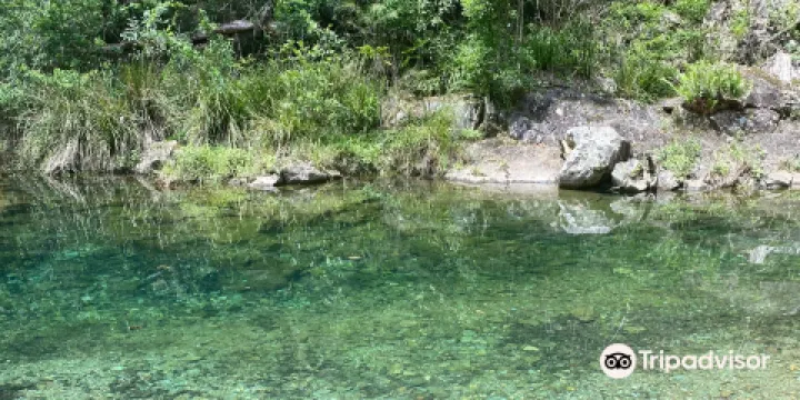 Maleny National Park