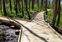 Orr Bog Walk景点图片