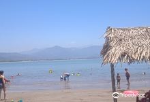 Platanitos Playa Beach景点图片