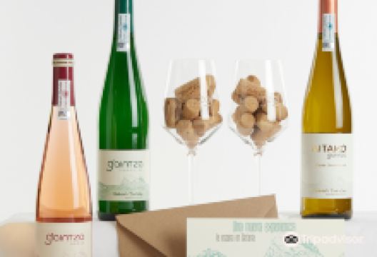 Gaintza Txakolina景点图片