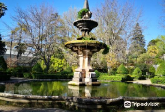 Jardim Botanico景点图片