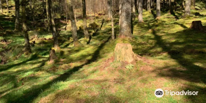 Signal Rock and An Torr