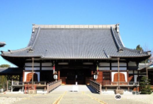 宝泉寺景点图片