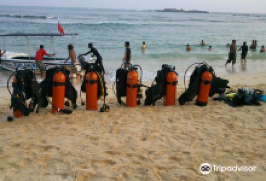 Sun Diving SriLanka购物图片